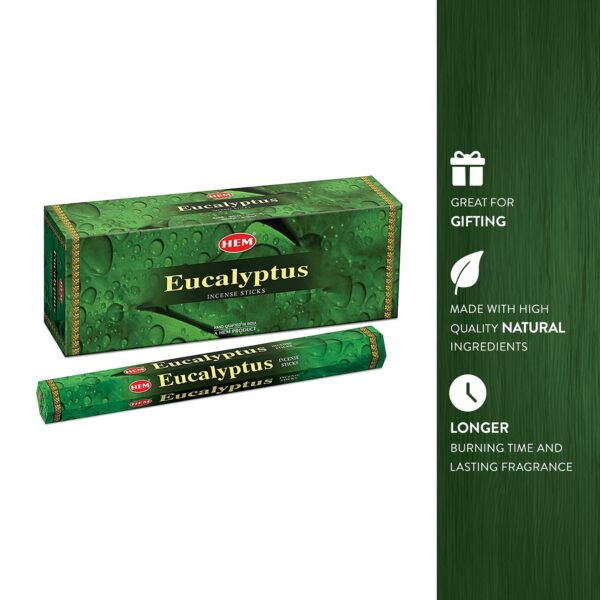 Hem Eucalyptus for Cleansing & Relaxing Incense Sticks - Pack of 6 (20 Sticks Each) - Image 5