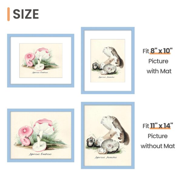 upsimples 11x14 Picture Frame, Display Pictures 8x10 with Mat or 11 x 14 Without, Wall Hanging Photo Frames, Blue, 1 Pack - Image 3