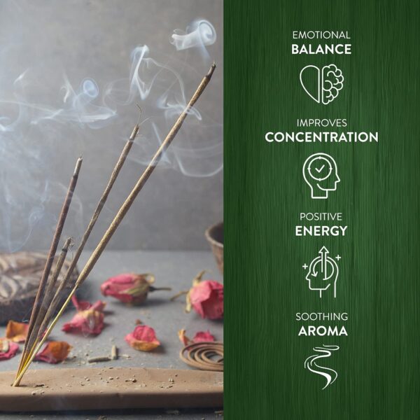 Hem Eucalyptus for Cleansing & Relaxing Incense Sticks - Pack of 6 (20 Sticks Each) - Image 3