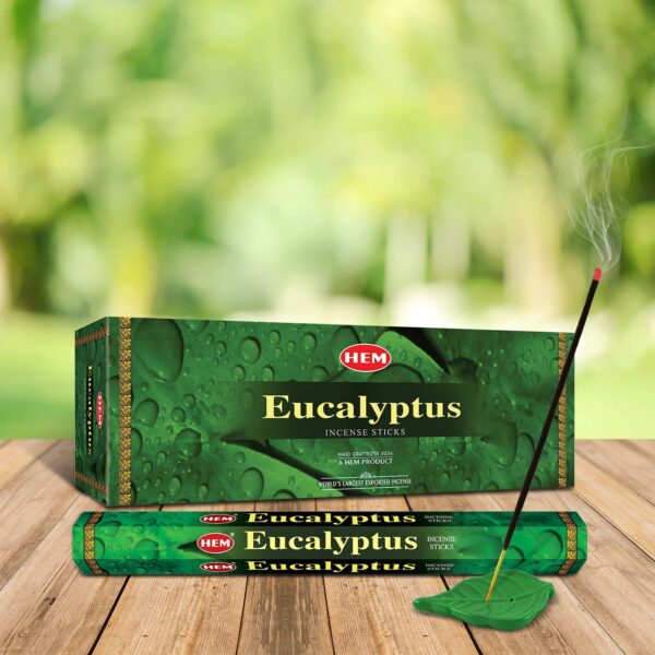 Hem Eucalyptus for Cleansing & Relaxing Incense Sticks - Pack of 6 (20 Sticks Each) - Image 6